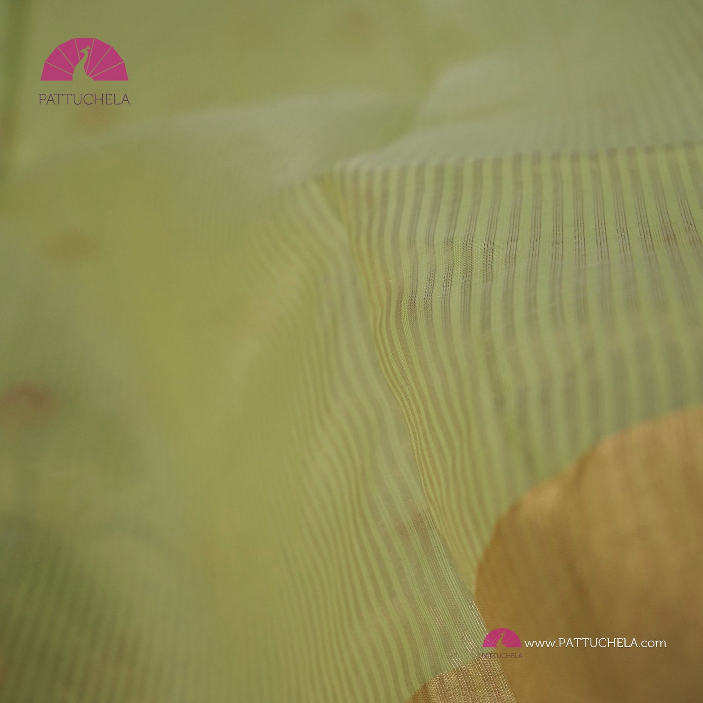 Pastel Pistachio Green Chanderi Katan Meenakari Handloom Silk Saree with Bavanchi Border