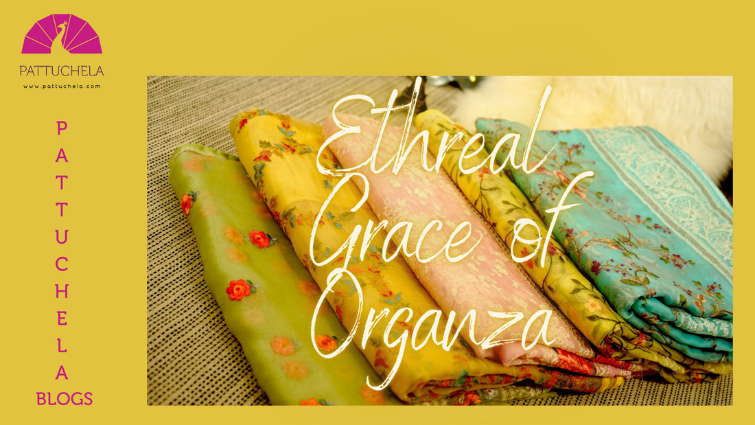 Ethreal Grace of Organza | Organza Sarees | Pattuchela Blog