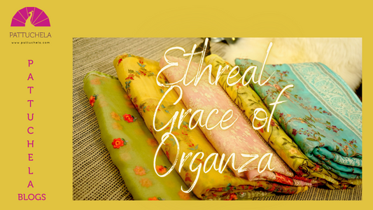 Ethreal Grace of Organza | Organza Sarees | Pattuchela Blog