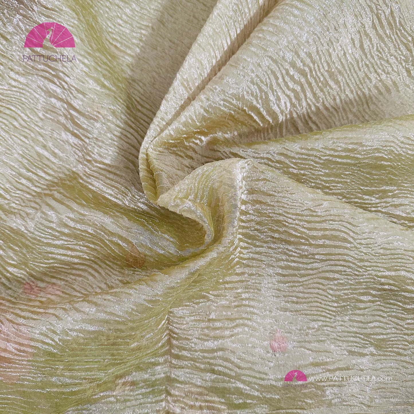 Pastel Green Crush Tissue Saree with embroidery and Cutwork borders