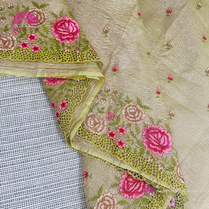 Pastel Green Crush Tissue Saree with embroidery and Cutwork borders