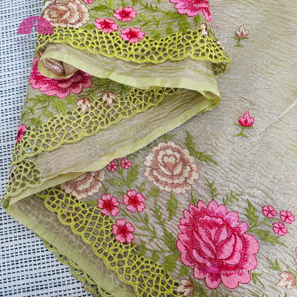 Pastel Green Crush Tissue Saree with embroidery and Cutwork borders