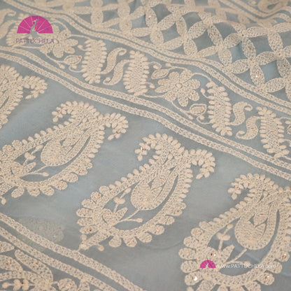 Pastel Sky Blue Floral Georgette Chikankari Saree