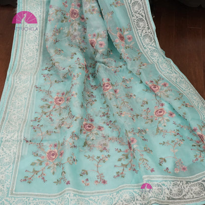 Pastel Ice Blue Pure Organza Silk Saree with Resham Embroidery & Chikankari Border