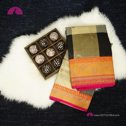 Beige and Black Checked Pure Banarasi Katan Handloom Silk Saree with multi color zari Border